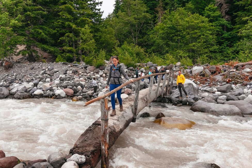image n.11 of From Seattle: Mount Rainier National Park Guided Tour activity in Washington (State), uploaded by supplier
