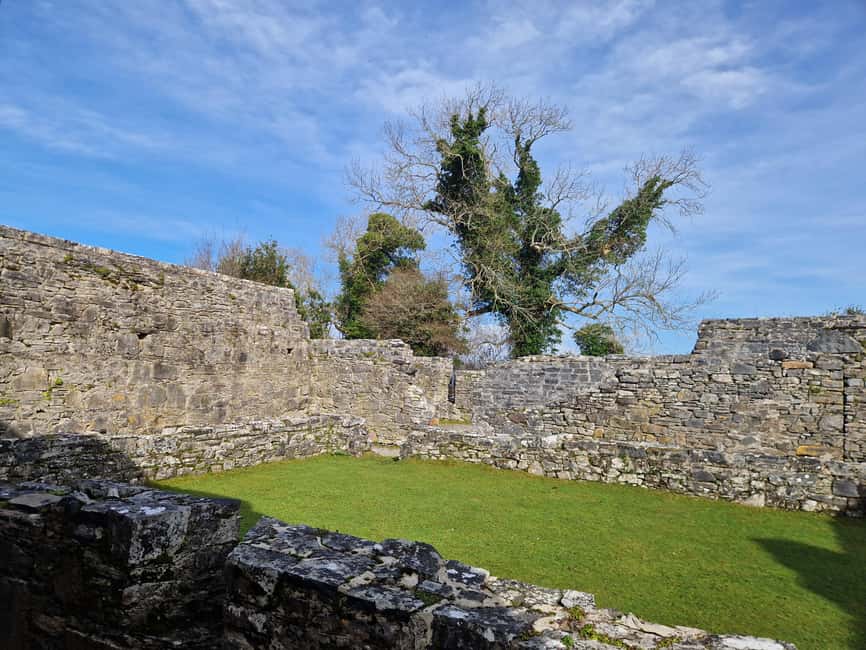 Obraz nr 16 z atrakcji Killarney: Rejs wycieczkowy na wyspę Innisfallen, jeziora Killarney w Munster, przesłany przez organizatora