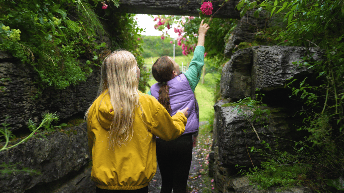 image n.8 of Doolin Cave Tour: Experience Europe's Largest Stalactite activity in Doolin, uploaded by supplier