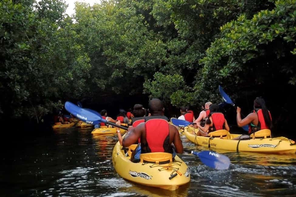billede nr.23 af aktiviteten San Juan: El Yunque og Bio Bay heldagstur med transport i Río Grande, Puerto Rico, uploadet af udbyder