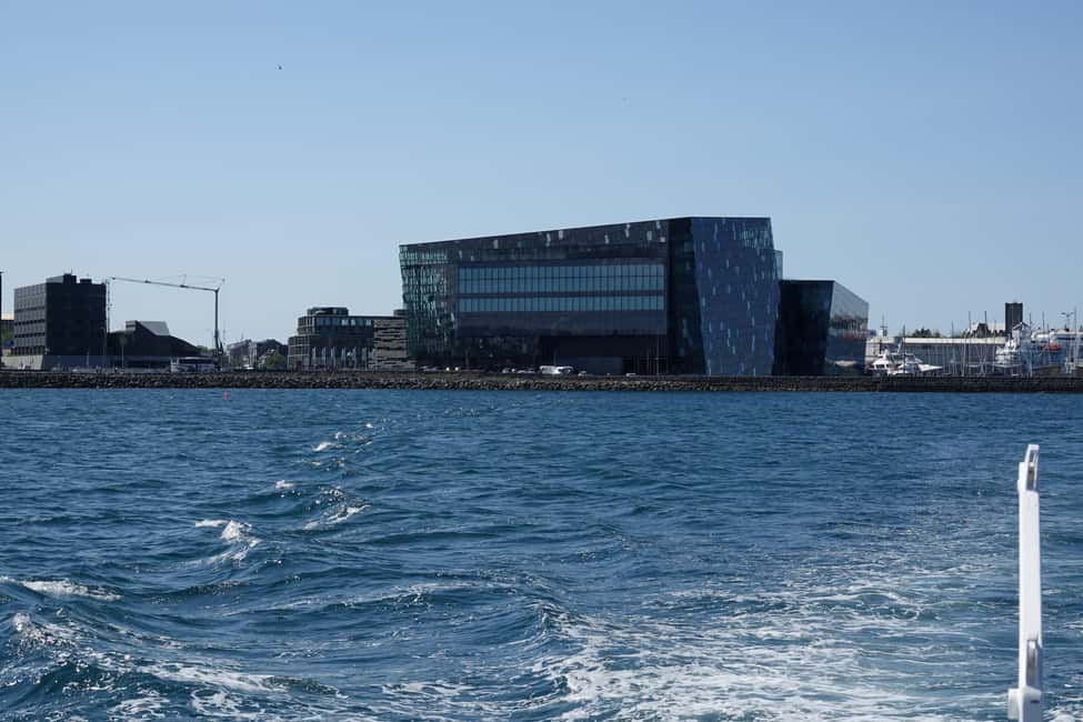 imagen n.º 18 de Reikiavik: Crucero de avistamiento de ballenas y vida marina actividad en Vesturland, subida por el proveedor