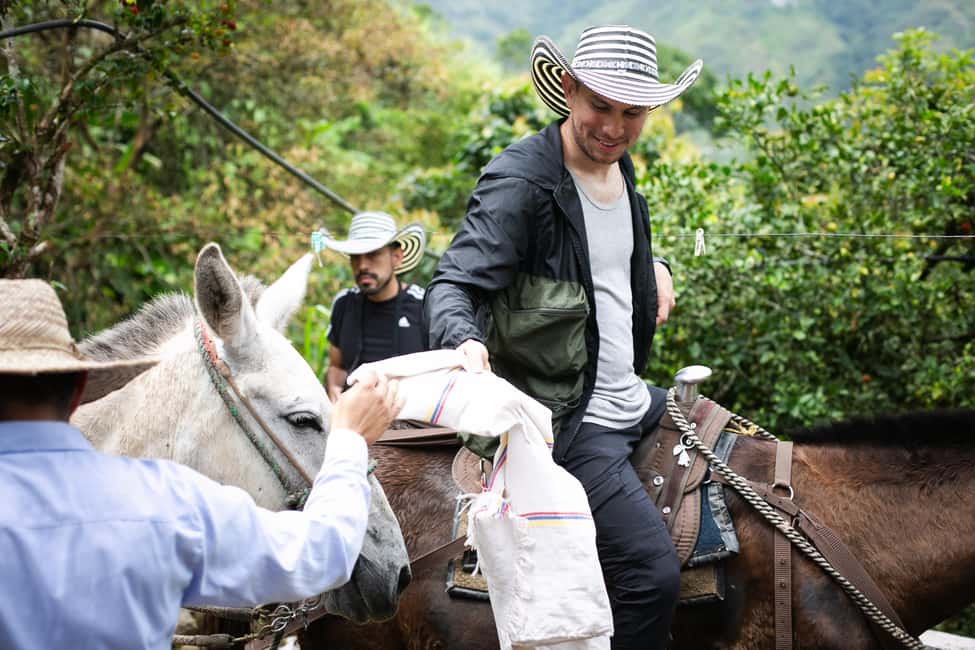 imagem n.18 de Medellín: Tour do café, chegada a cavalo e cana-de-açúcar atividade em Medellín, carregada pelo fornecedor