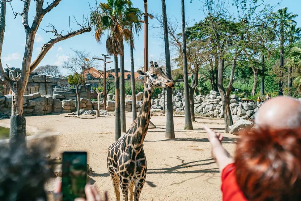 afbeelding n.14 van Barcelona: Dagticket voor de dierentuin van Barcelona activiteit in Barcelona, geüpload door aanbieder