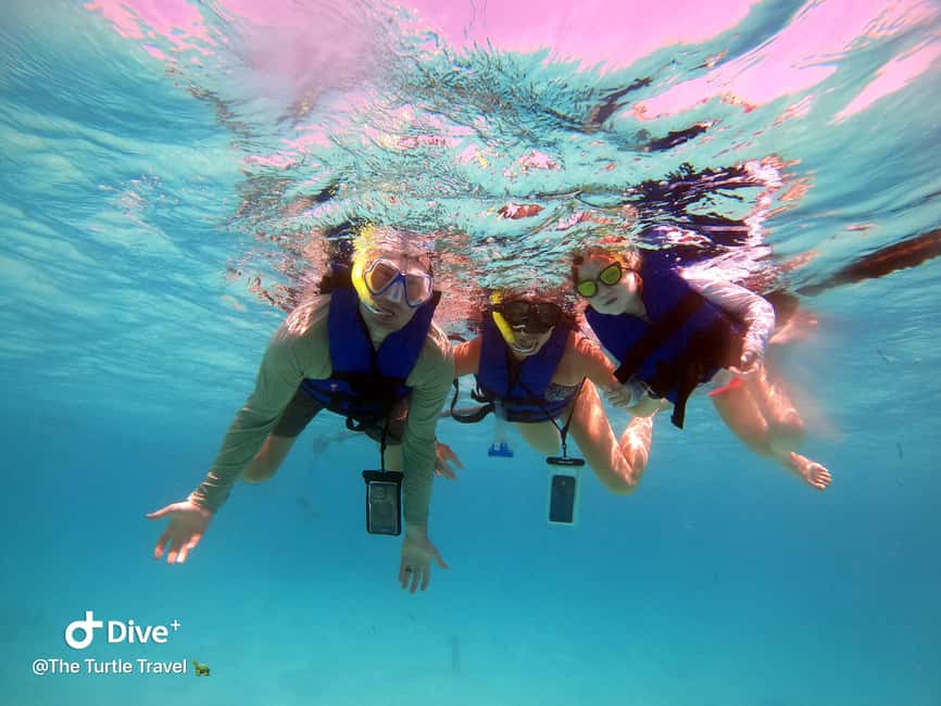image n.9 of Akumal: Guided Turtle Snorkeling Tour and pictures activity in Akumal, uploaded by supplier