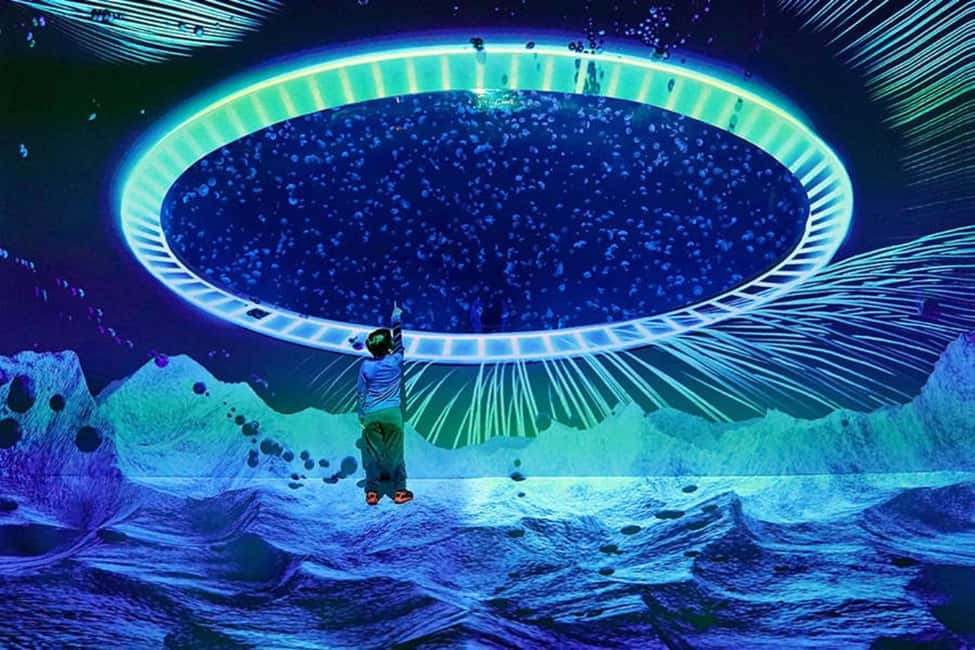 image n.2 of Prague: The World Of Jellyfish Entry Ticket w/ Drink activity in Prague, uploaded by supplier