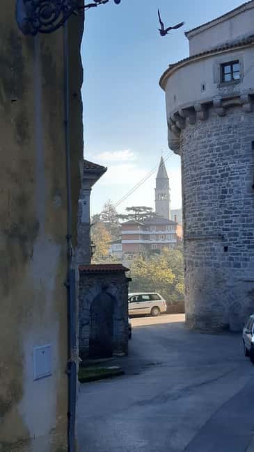 Immagine nº 10 di Istria: tour guidato dell'Istria interna con degustazione di cibo attività a Istarska, caricata dal fornitore