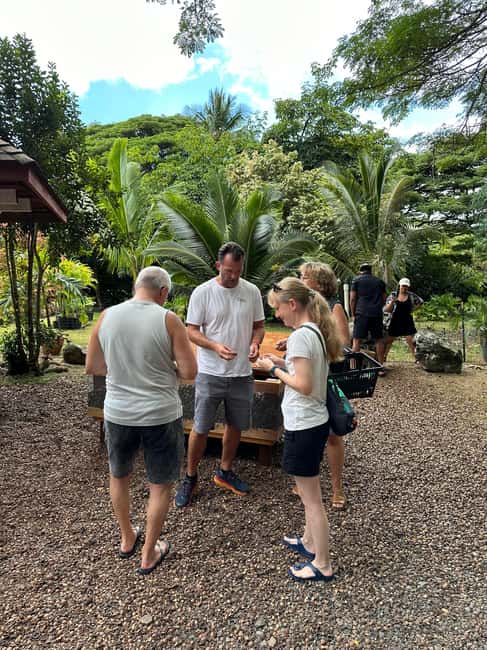 image n.5 of Oahu: Highlights of Oahu Small Group Tour activity in Hawaii, uploaded by supplier
