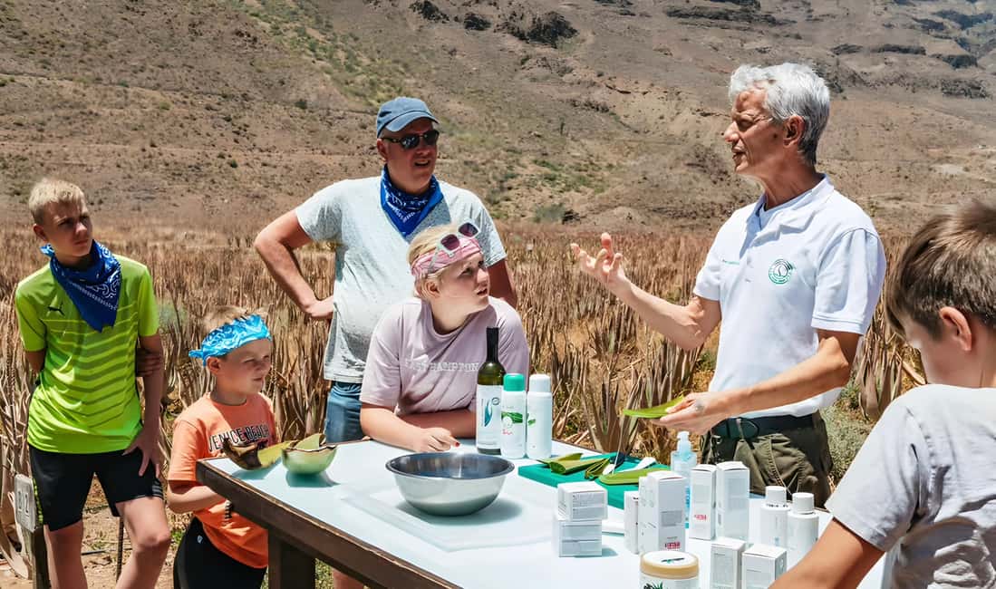 image n.4 of Gran Canaria: Premium Safari 4x4 Tour with Local Guide activity in Canary Islands, uploaded by supplier