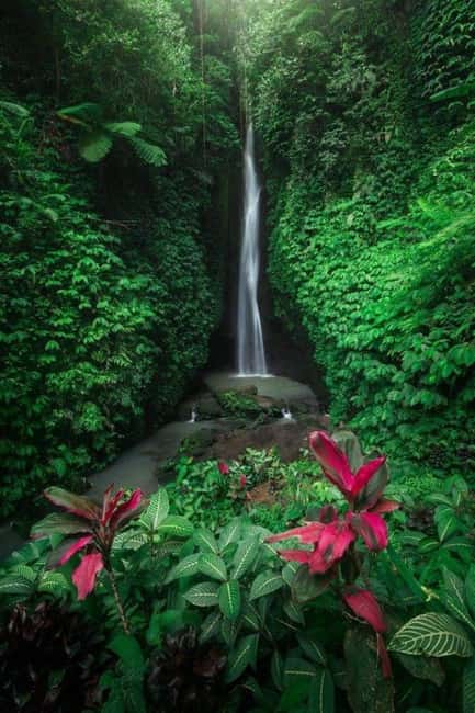 image n.3 of Ulun Danu Beratan Temple, Jatiluwih, Banyumala waterfall activity in Jatiluwih, uploaded by supplier