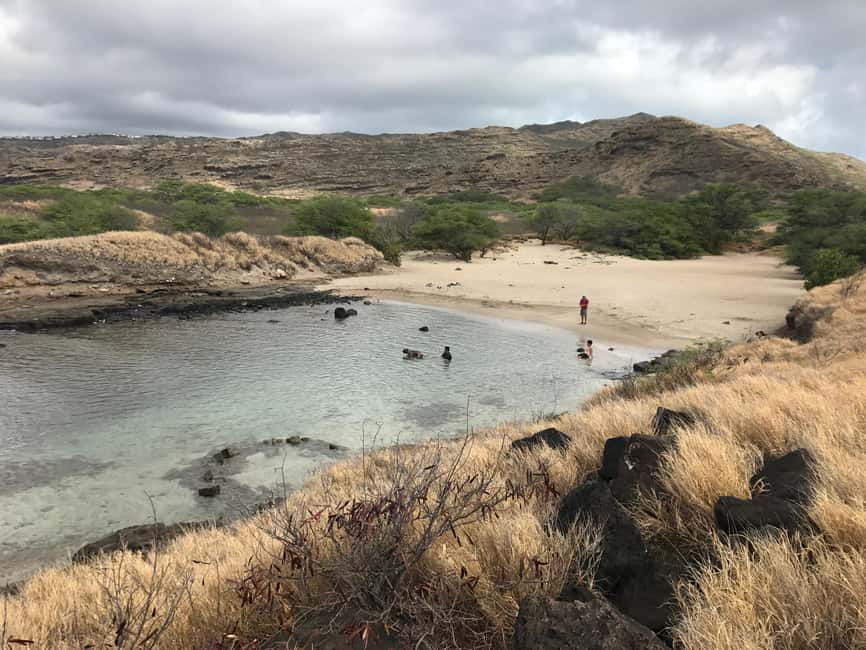 Immagine nº 18 di Oahu: Escursione alle cascate di Manoa e giornata sulla spiaggia del lato est attività a Honolulu, caricata dal fornitore