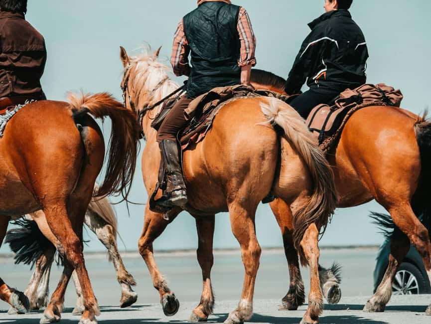 Immagine nº 4 di Punta del Este: vivi un'indimenticabile passeggiata a cavallo nella natura attività a Punta del Este, caricata dal fornitore