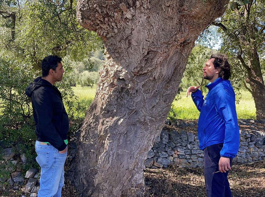 Immagine nº 31 di Ostuni: Tour in bicicletta con un bicchiere di vino e bruschetta attività a Ostuni, caricata dal fornitore