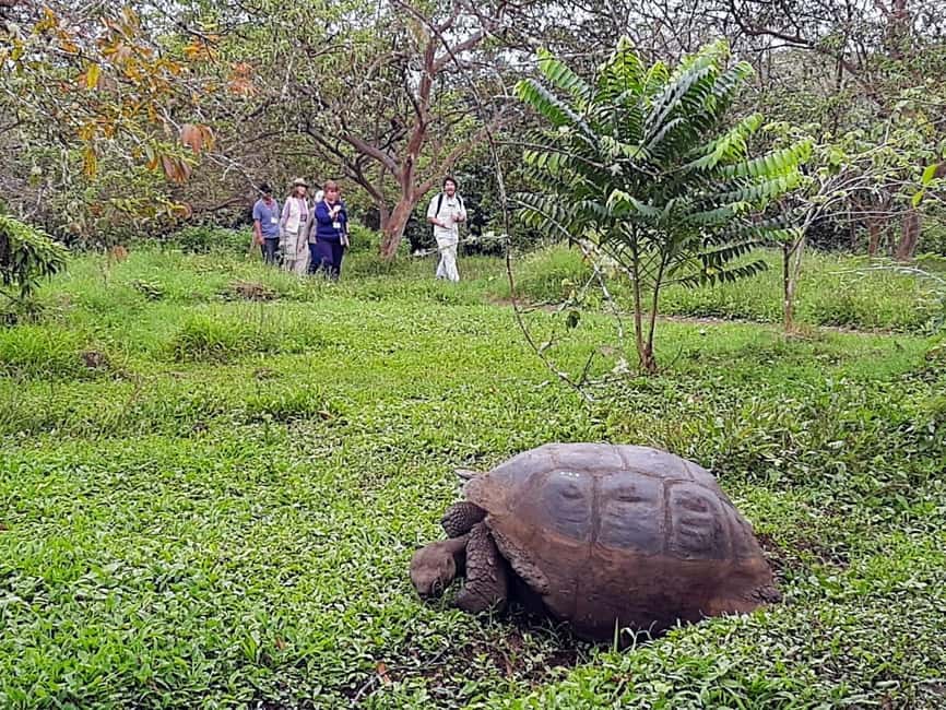 image n.1 of Airport Transfer to Puerto Ayora including a Highlands Tour activity in Galápagos Islands, uploaded by supplier