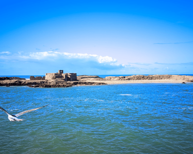 Immagine nº 4 di Da Marrakech: Escursione di una giornata intera a Essaouira attività a Essaouira, caricata dal fornitore