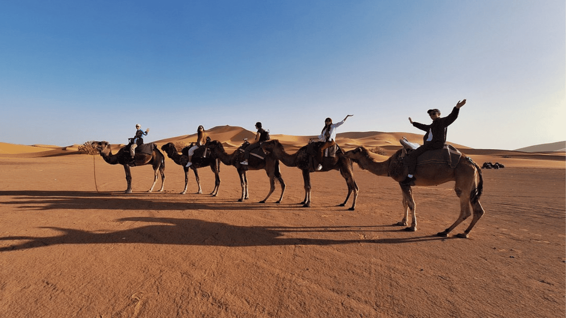 Image N°17 de Depuis Marrakech : 2 jours d'excursion dans le désert vers Fès ou Marrakech activité à Drâa-Tafilalet, publiée par le prestataire
