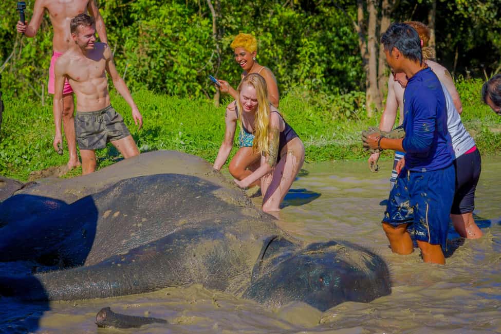 image n.18 of From Kathmandu/Pokhara: 3 Day All-Inclusive Chitwan Safari activity in Pashchimanchal, Western Region, uploaded by supplier