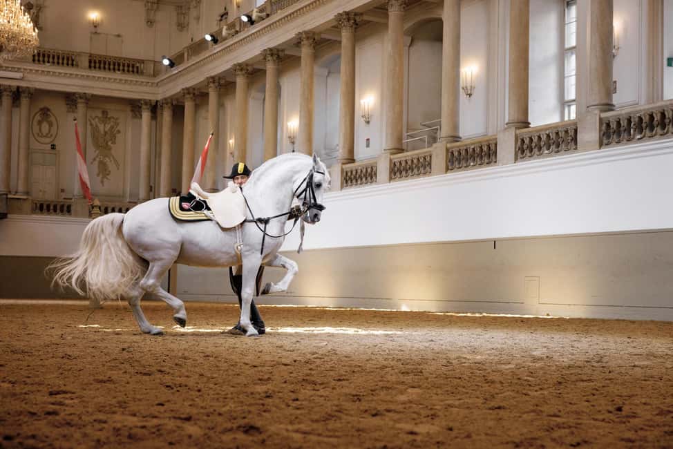 image n.2 of Performance Of The Lipizzans At Spanish Riding School activity in Vienna, uploaded by supplier