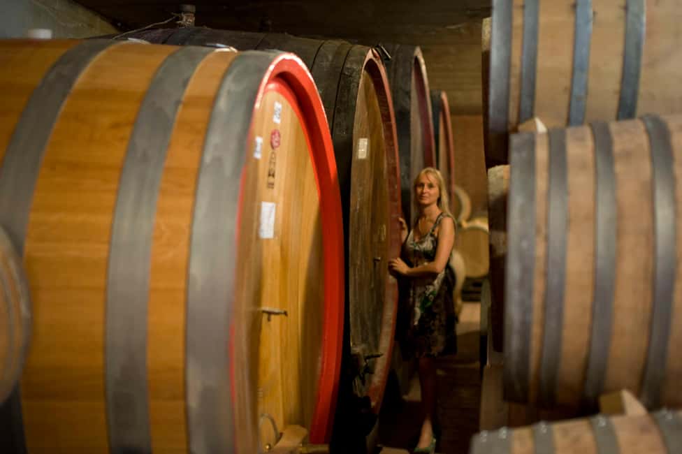 billede nr.2 af aktiviteten BAROLO: GUIDET OPLYSNING TIL VINKÆLDEREN OG VINSMAGNING MED PRODUCENTEN i Barolo, uploadet af udbyder