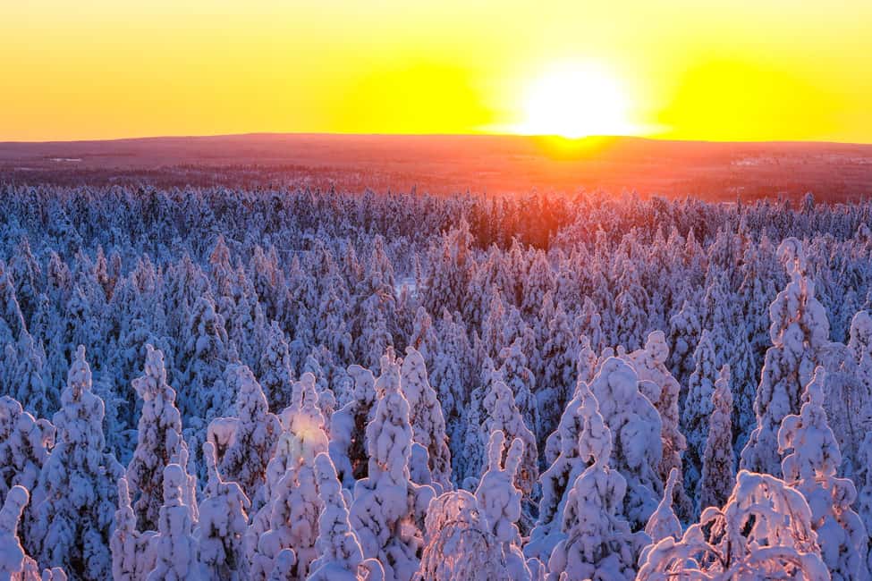 Bild Nr. 6 von Rovaniemi: Geführte Schneemobilfahrt durch die Wildnis Aktivität in Rovaniemi, hochgeladen vom Anbieter