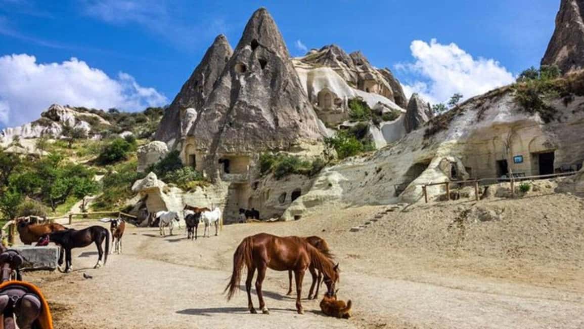 imagem n.1 de Göreme: Tour Privado de Camelo, Olaria, Passeio a Cavalo com Almoço atividade em Avanos, carregada pelo fornecedor