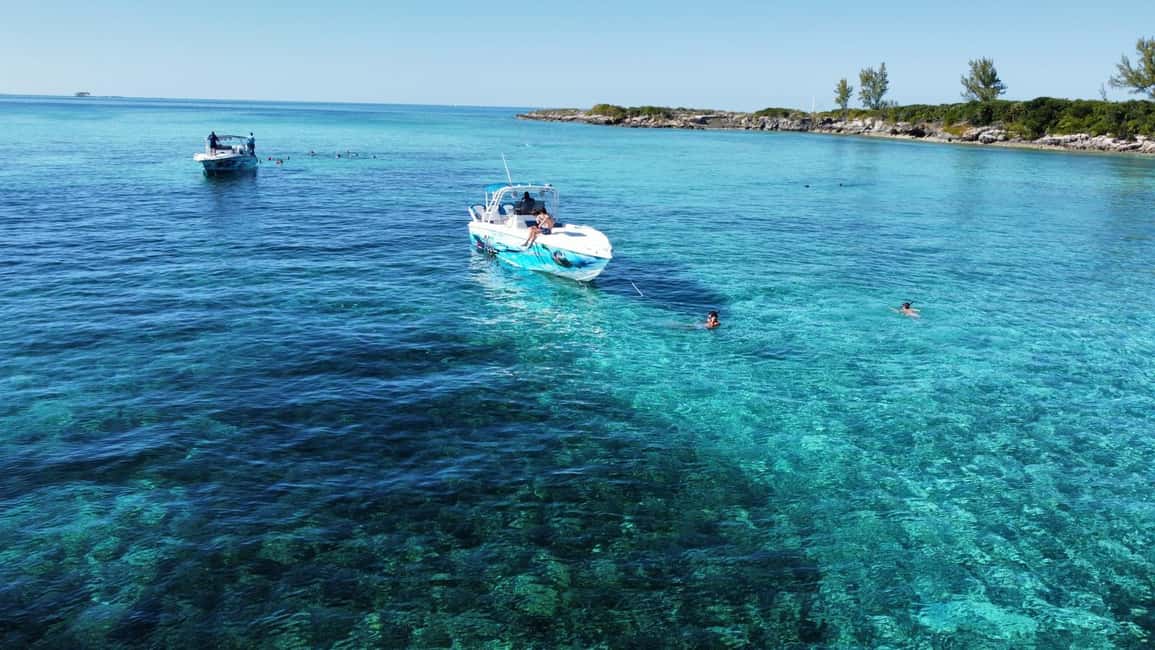 Image N°84 de Nassau : Cochons, plongée en apnée, tortues, déjeuner, club de plage privé activité à New Providence, publiée par le prestataire