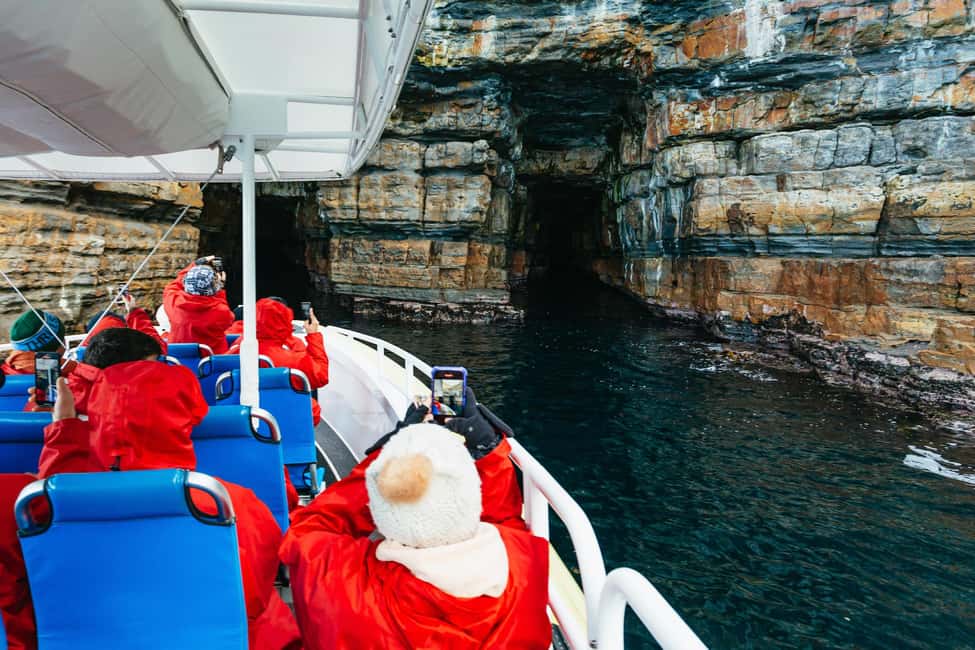 image n.4 of From Port Arthur: Tasman Island Wilderness Cruise activity in Port Arthur, uploaded by supplier