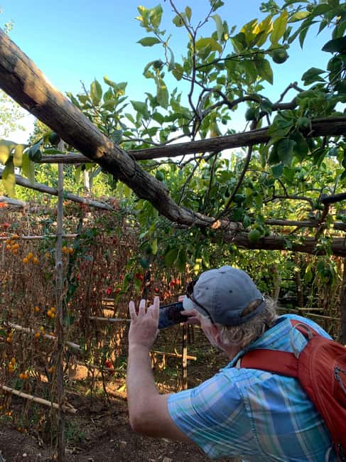 image n.20 of Maiori: Amalfi Coast Path of Lemons Day Trip with Tastings activity in Maiori, uploaded by supplier