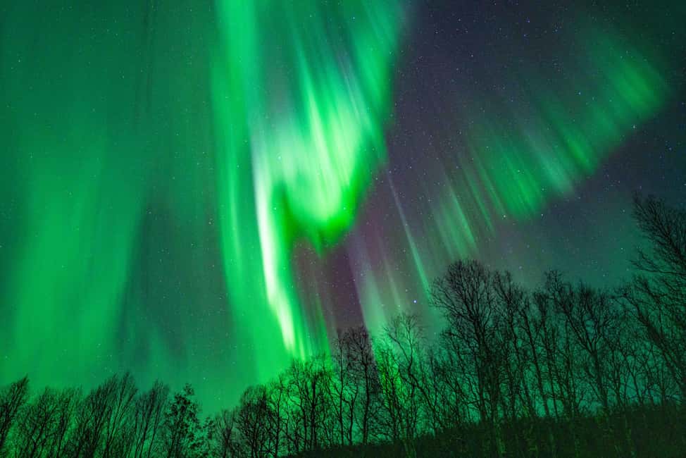 bild nr.8 av Tromsö: Aurora-tur med lägereld och professionella foton aktivitet i Tromsø, uppladdad av arrangören