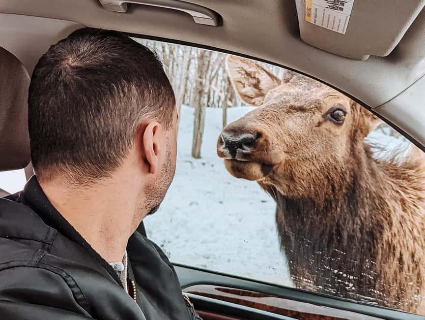 imagem n.8 de Otava: Safari privado de aventura na vida selvagem no Parc Omega atividade em Montebello, carregada pelo fornecedor