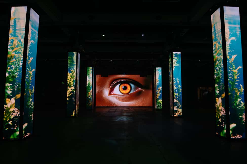 afbeelding n.16 van AMAZE Amsterdam: meeslepende audiovisuele ervaring activiteit in Amsterdam, geüpload door aanbieder