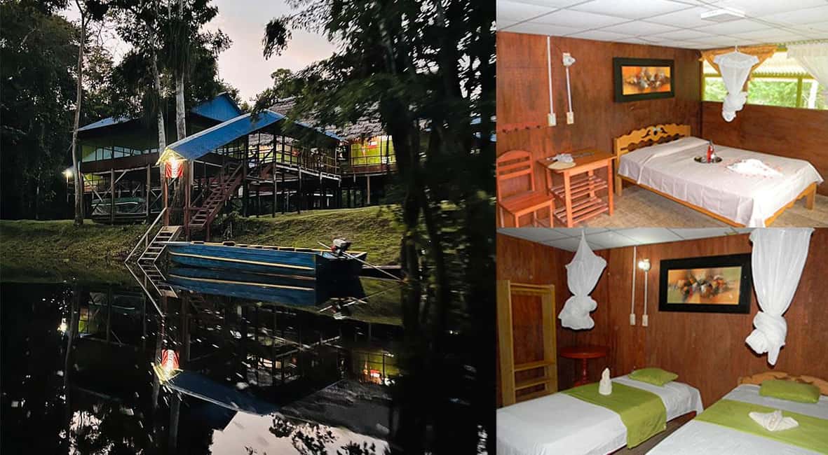 image n.8 of From Iquitos: 3-Day Amazon Jungle Adventure Trip activity in Iquitos, uploaded by supplier