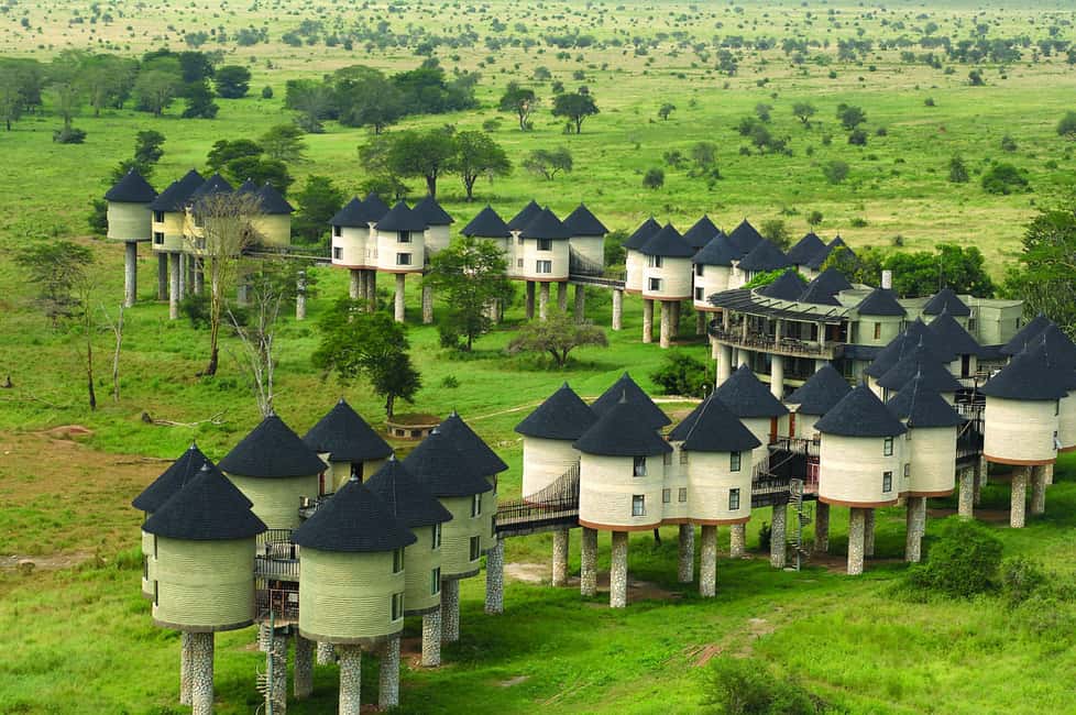image n.7 of 2 days 1 night saltlick safari from Diani/Mombasa activity in Coast Province, uploaded by supplier