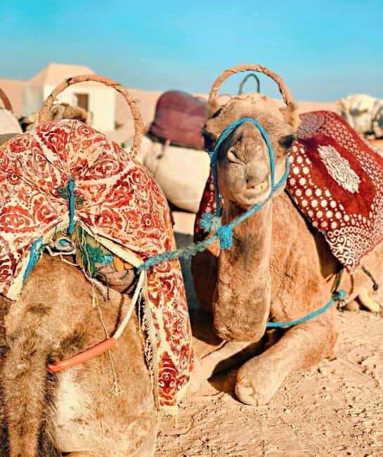 imagen n.º 26 de Marrakech: excursión en quad y paseo en camello por el desierto de Agafay con cena y espectáculo actividad en Marrakech, subida por el proveedor