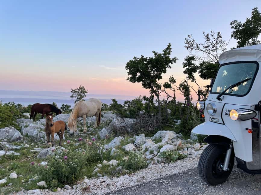 image n.16 of Makarska: Skywalk Tuk-Tuk Tour with Skip-the-Line Ticket activity in Dalmatia, uploaded by supplier
