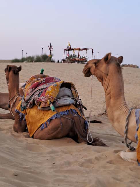 image n.30 of Desert Rose Jaisalmer: Luxury Tent In Thar Desert activity in Jaisalmer, uploaded by supplier