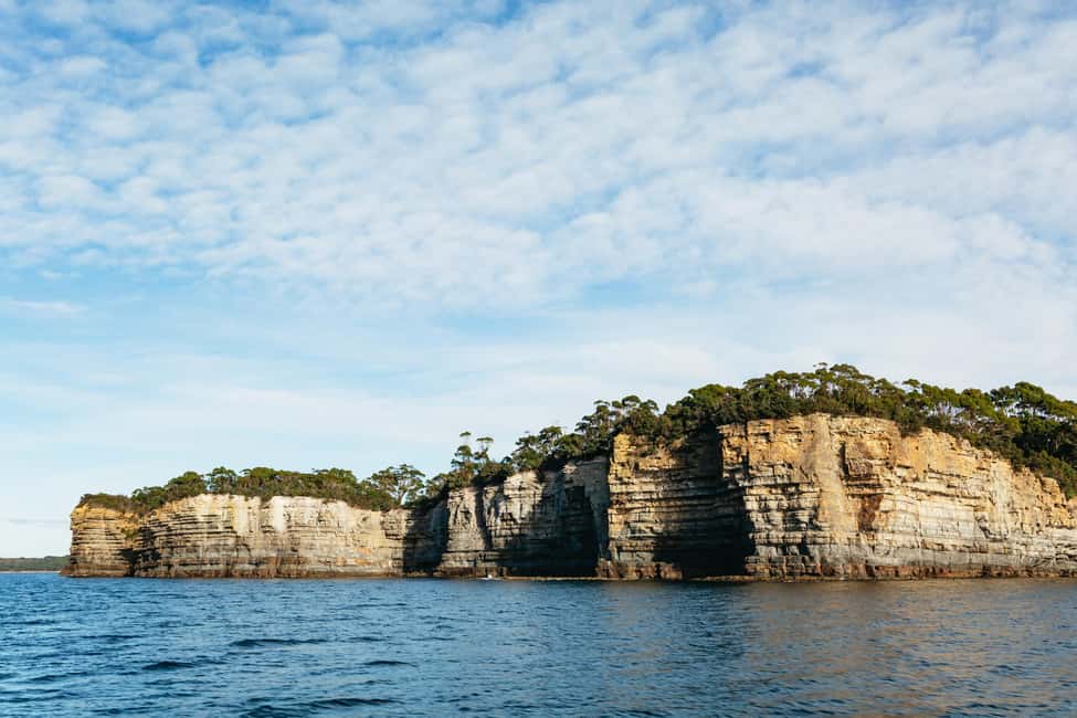 image n.7 of From Port Arthur: Tasman Island Wilderness Cruise activity in Port Arthur, uploaded by supplier