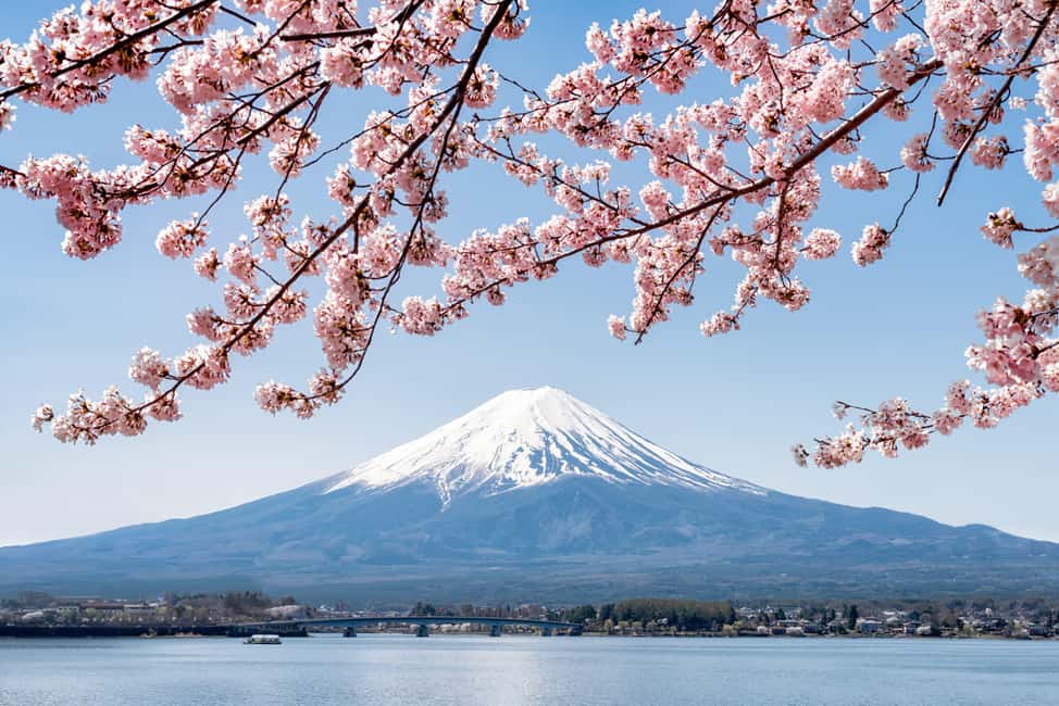 obrázek č.20 aktivity Z Tokia: Mount Fuji Highlight Photo Spots Celodenní výlet do Tokia v destinaci Fujinomiya, nahraný poskytovatelem aktivity