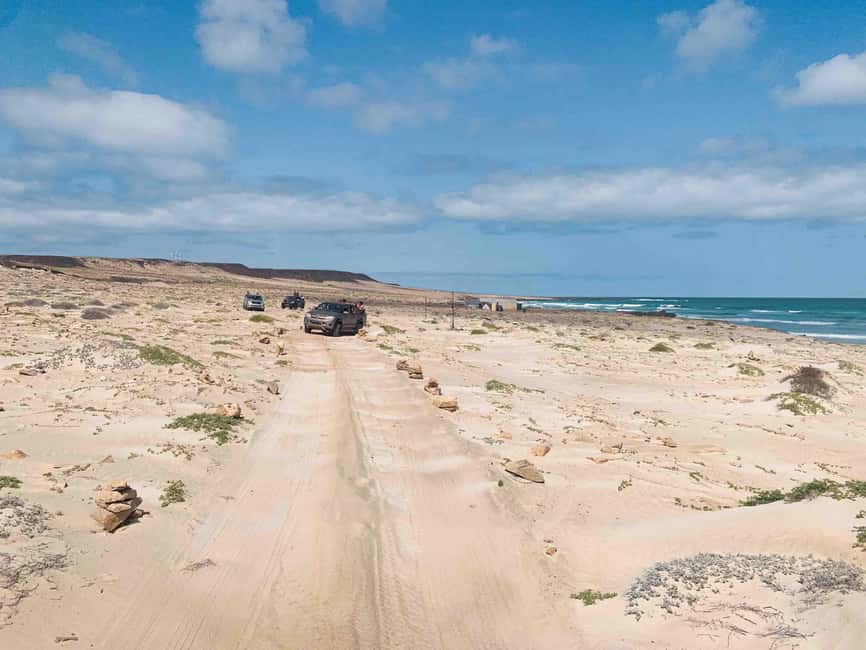 image n.14 of Sal Rei: Boa Vista Island Full-Day North to South Discovery activity in Boa Vista Island, uploaded by supplier