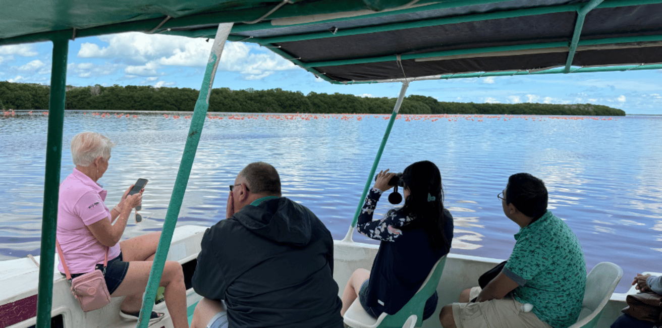 image n.16 of Merida: Celestun Boat Ride Mangrove Experience! Beach Time activity in Celestún, uploaded by supplier