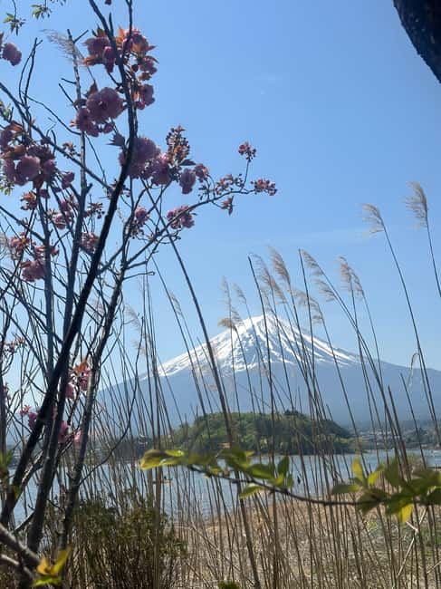 obrázek č.14 aktivity Jednodenní soukromá exkurze na horu Fuji s anglicky mluvícím řidičem v destinaci Hakone, nahraný poskytovatelem aktivity