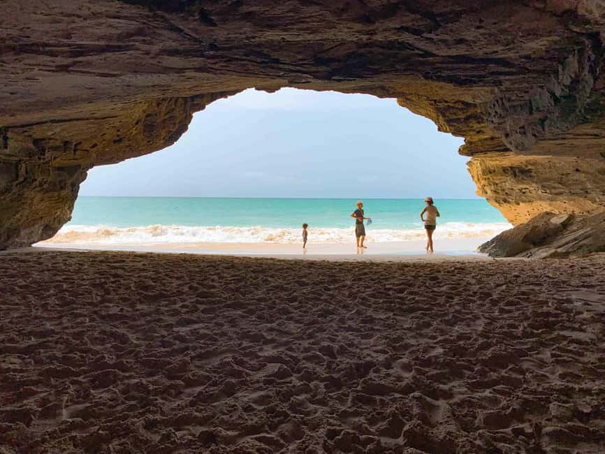 image n.11 of Sal Rei: Boa Vista Island Full-Day North to South Discovery activity in Boa Vista Island, uploaded by supplier