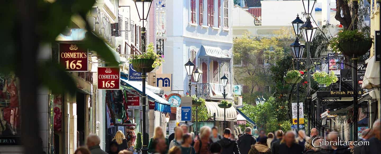 image n.4 of From Malaga: Private day trip to the Rock of Gibraltar activity in Gibraltar, uploaded by supplier