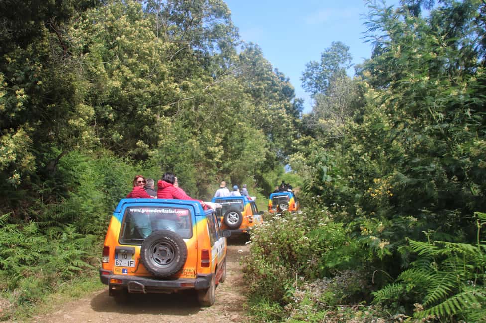 image n.6 of Madeira: Wine & Tapas, Cabo Girão Skywalk 4x4 Jeep Adventure activity in Estreito de Câmara de Lobos, uploaded by supplier