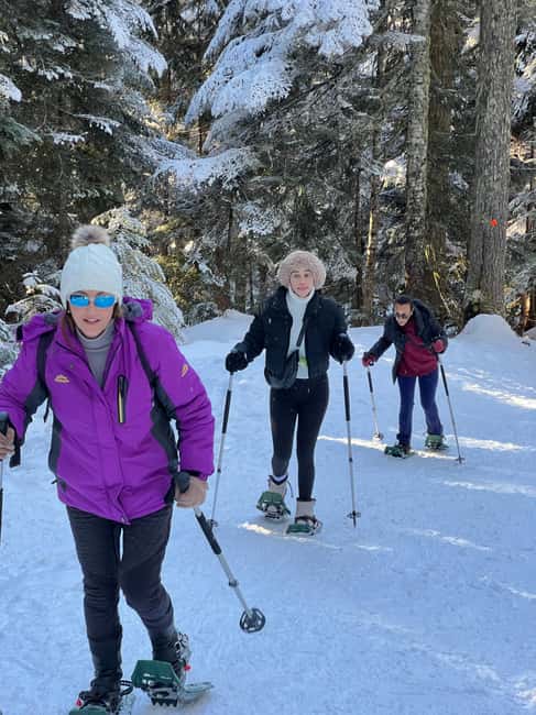 image n.24 of Vancouver: North Shore Mountains Snowshoeing with Transfer activity in West Vancouver, uploaded by supplier
