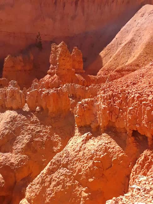 image n.4 of Small Group Tour Zion & Bryce Canyon National from Las Vegas activity in Utah, uploaded by supplier