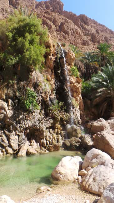 Immagine nº 24 di Da Muscat: Tour guidato di una notte nel campo del deserto attività a Regione al-Sharqiyya, caricata dal fornitore