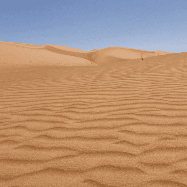 Immagine nº 4 di Muscat: tour di un giorno nel deserto di Wahiba Sands e Wadi Bani Khalid attività a Regione al-Sharqiyya, caricata dal fornitore