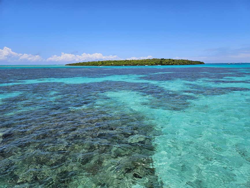 bild nr.12 av HELGDAG KATASPEED - Kryssning i östra lagunen inklusive transfer. aktivitet i Mauritius, uppladdad av arrangören