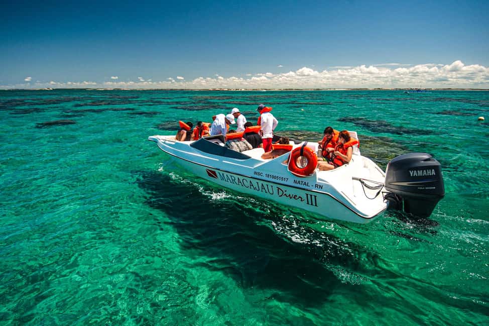 image n.15 of Maracajau Parrachos Reef: Mask and Snorkel swim adventure activity in Natal, uploaded by supplier