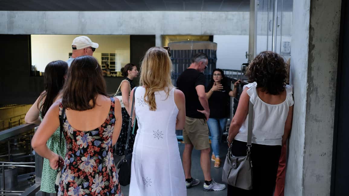 image n.31 of From Porto: Douro Valley Tour with Tastings, Boat & Lunch activity in Norte Region, uploaded by supplier